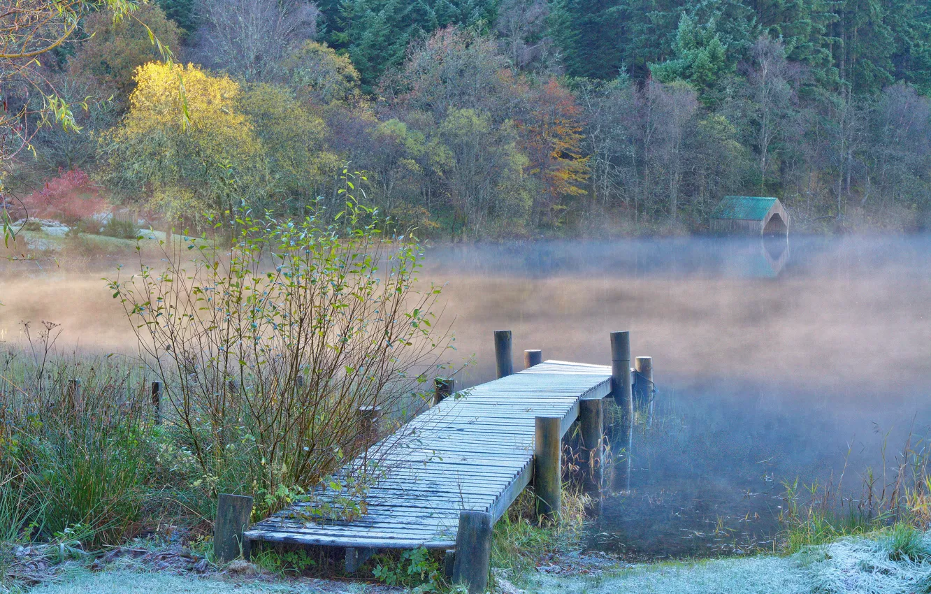Photo wallpaper frost, autumn, forest, river, haze, the bridge, freezing