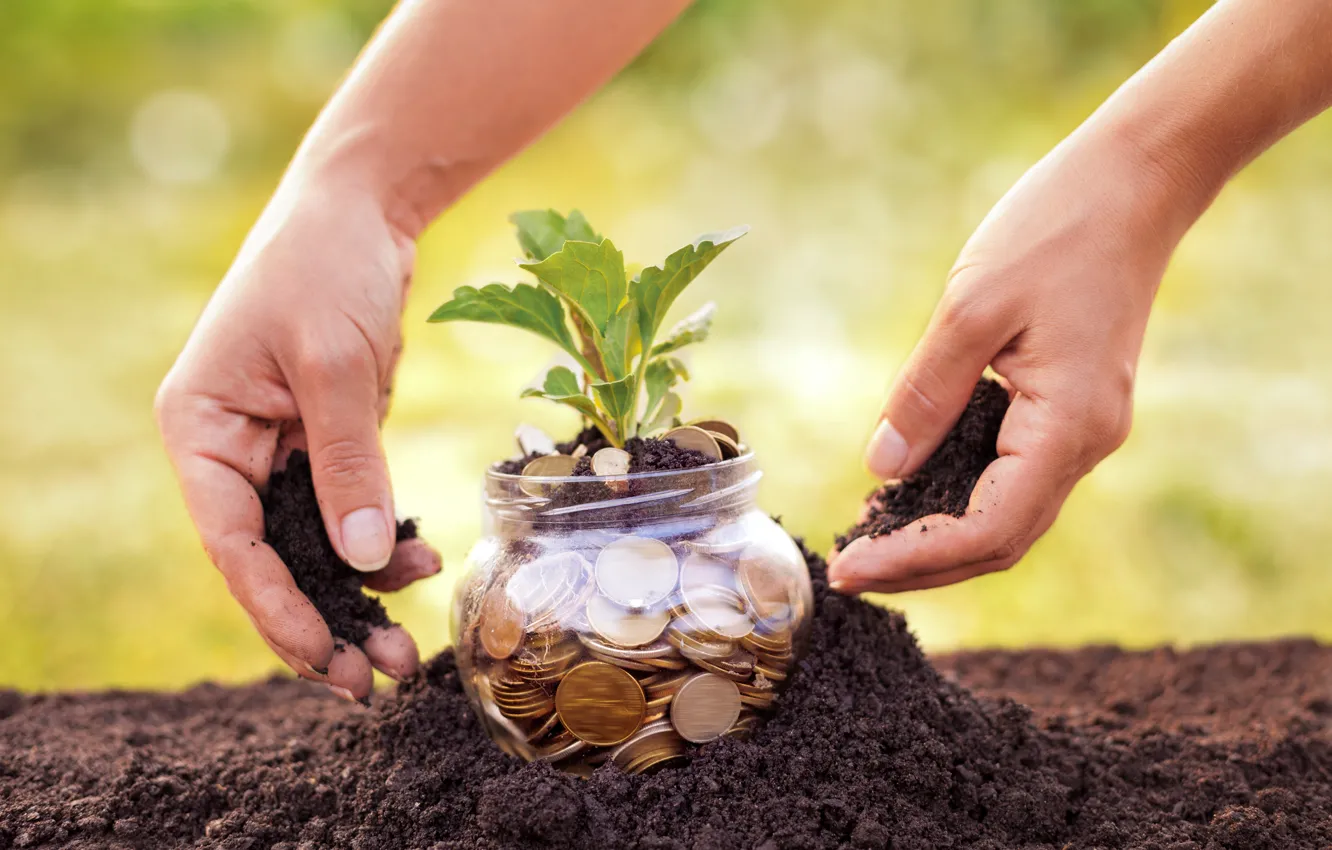 Photo wallpaper Future, money, plant, Land, savings
