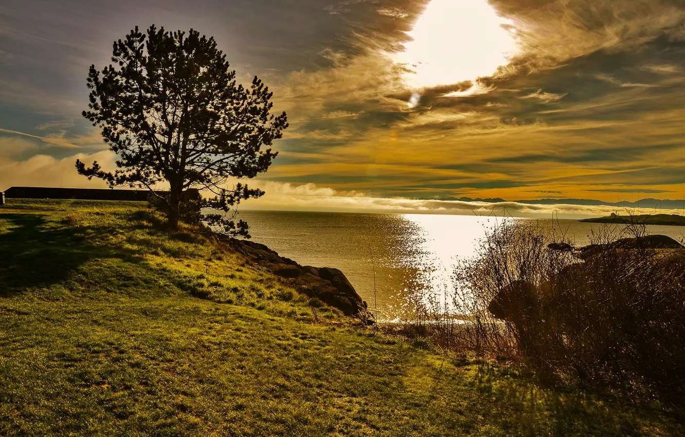 Photo wallpaper clouds, horizon, the sky, dawn, sea, shore, grass, the sun