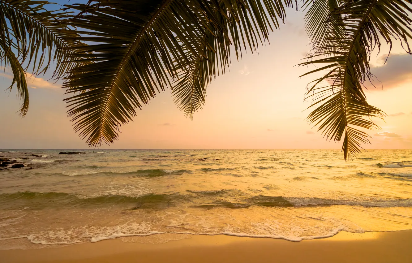 Photo wallpaper sand, sea, wave, beach, summer, the sky, palm trees, shore