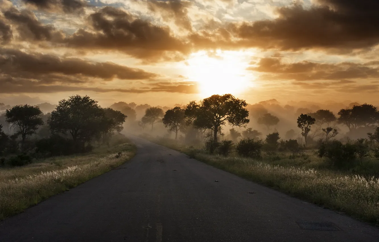 Photo wallpaper road, the sky, nature, morning