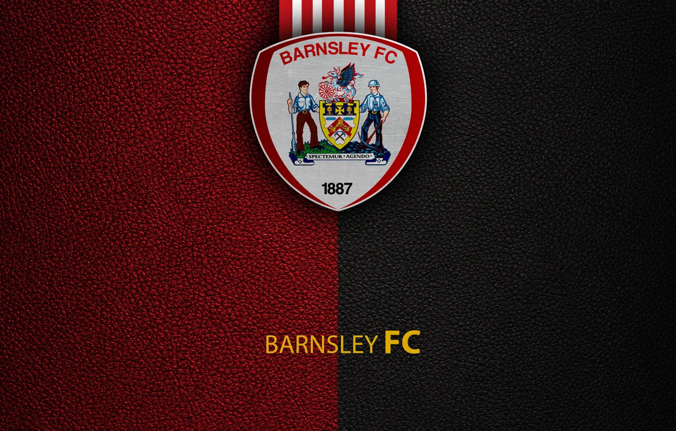 Photo wallpaper wallpaper, sport, logo, football, English Premier League, Barnsley