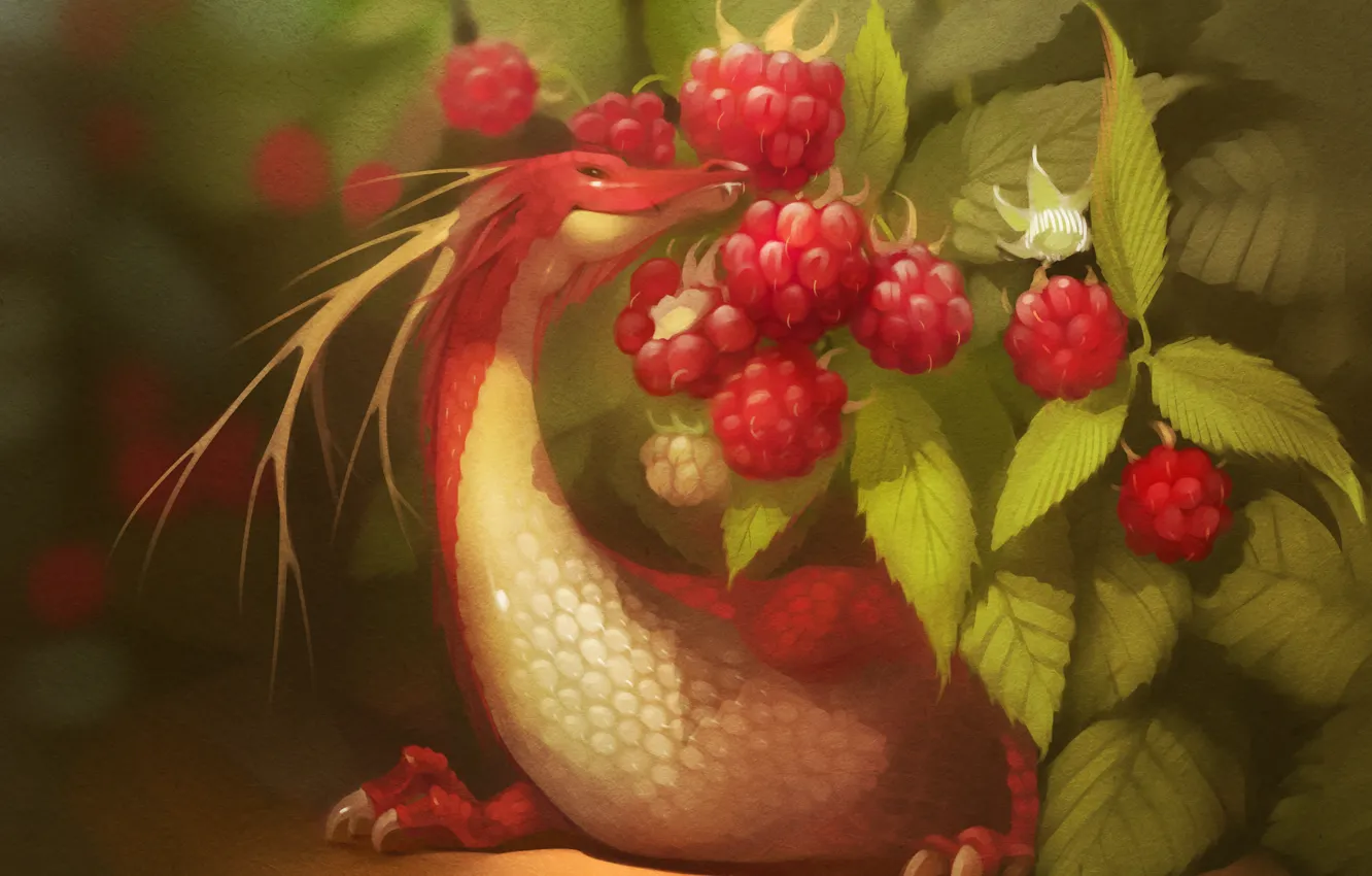 Photo wallpaper red, berries, raspberry, dragon, art