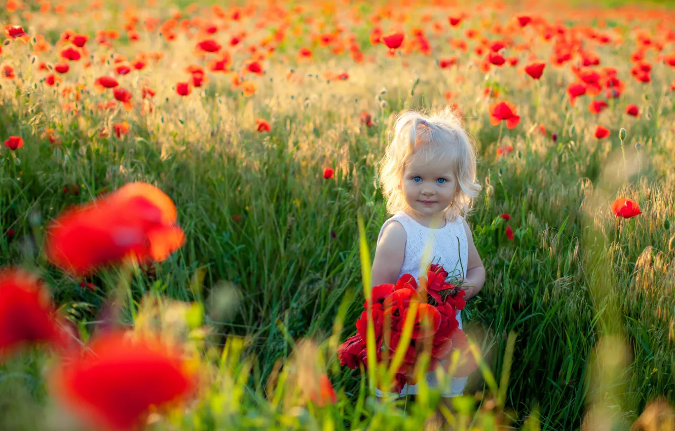 Photo wallpaper summer, light, flowers, red, children, smile, Maki, bouquet