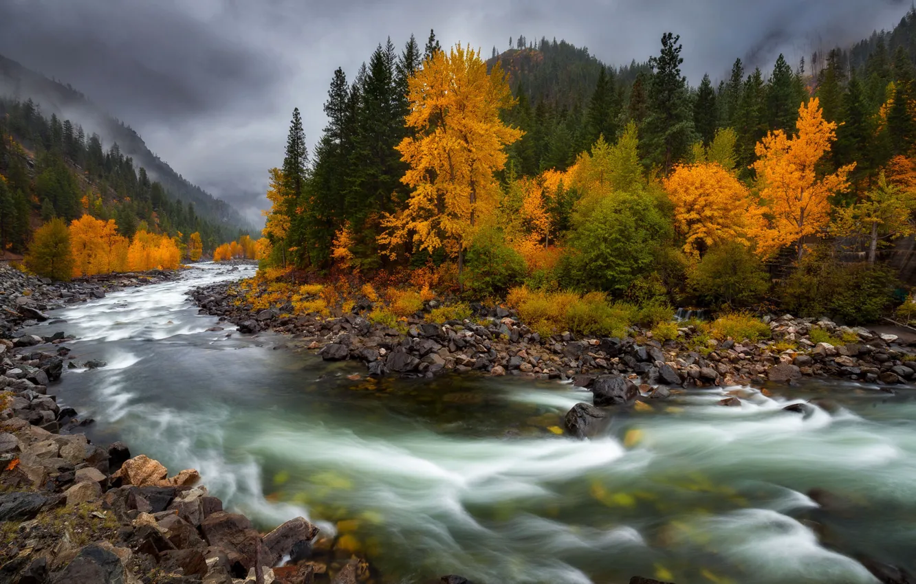 Photo wallpaper autumn, river, stones, for, Doug Shearer