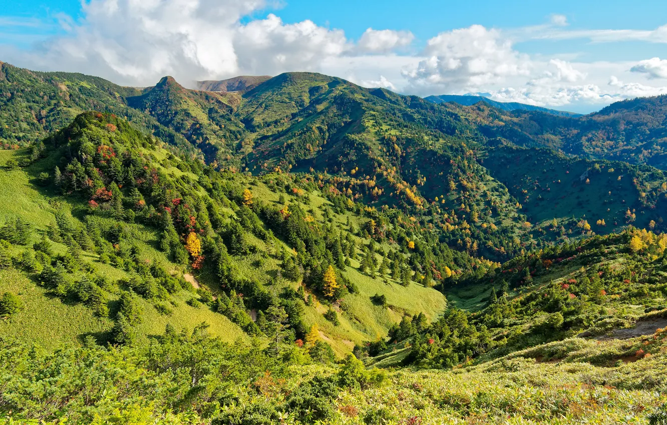 Photo wallpaper greens, grass, the sun, clouds, trees, mountains, Japan, slope