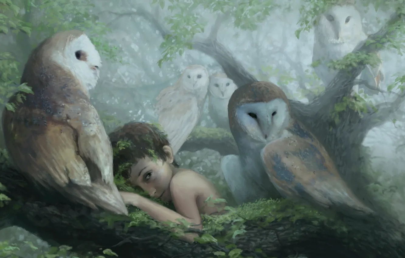 Photo wallpaper trees, fog, owl, boy