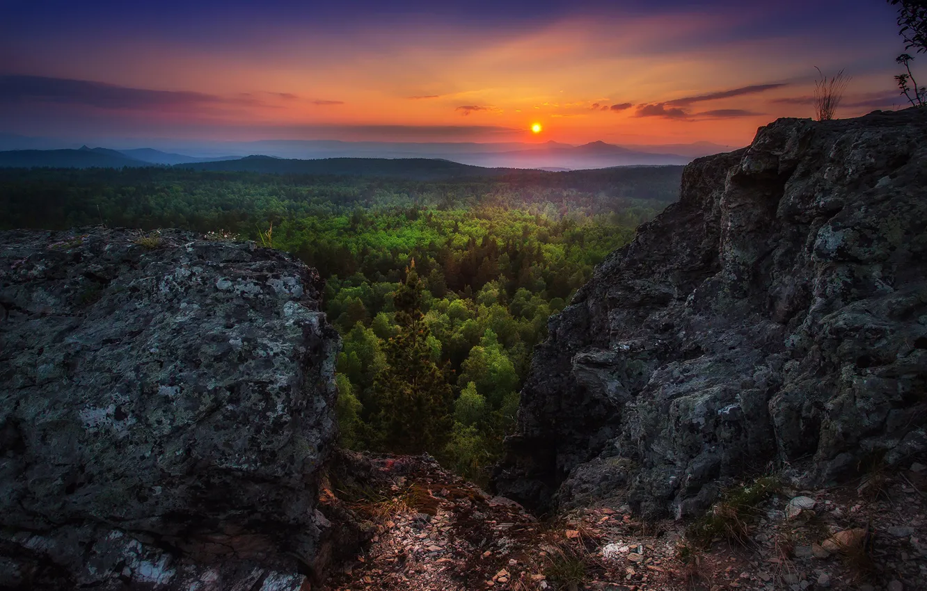 Photo wallpaper forest, the sky, sunset, rocks, view, height