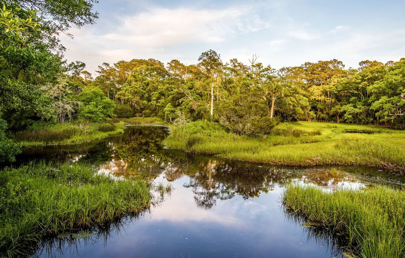 Photo wallpaper South Carolina, USA, South Carolina, Seabrook Island