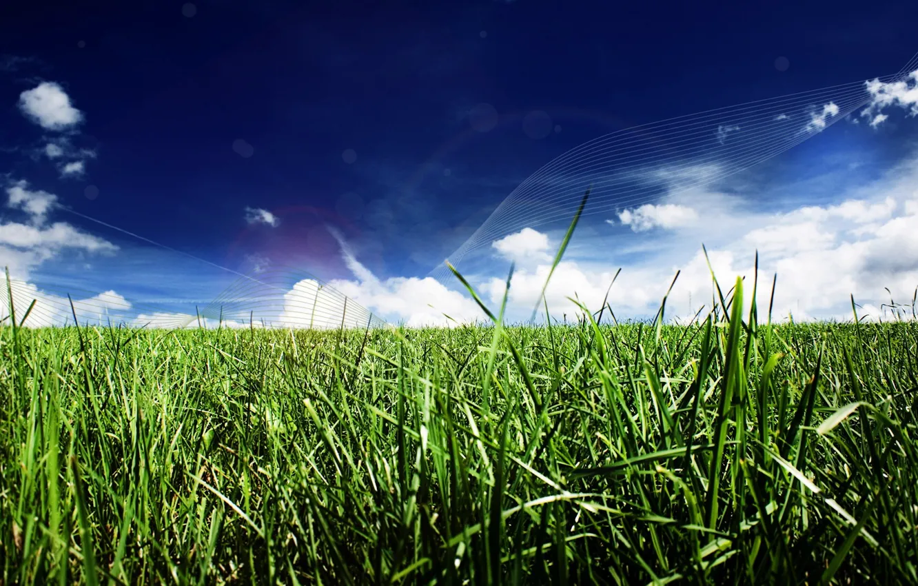 Photo wallpaper grass, clouds, line