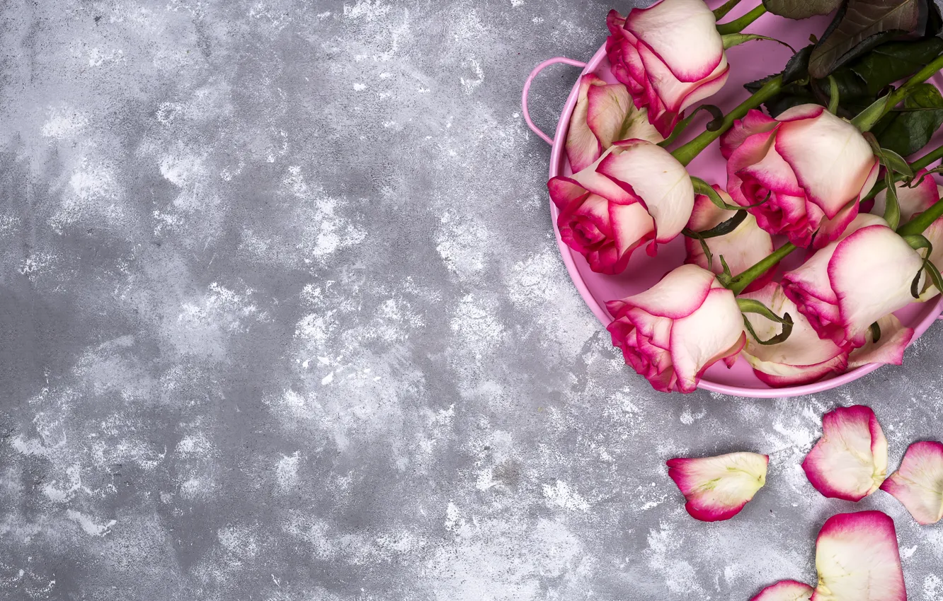 Photo wallpaper flowers, roses, bouquet, pink, pink, flowers, beautiful, roses