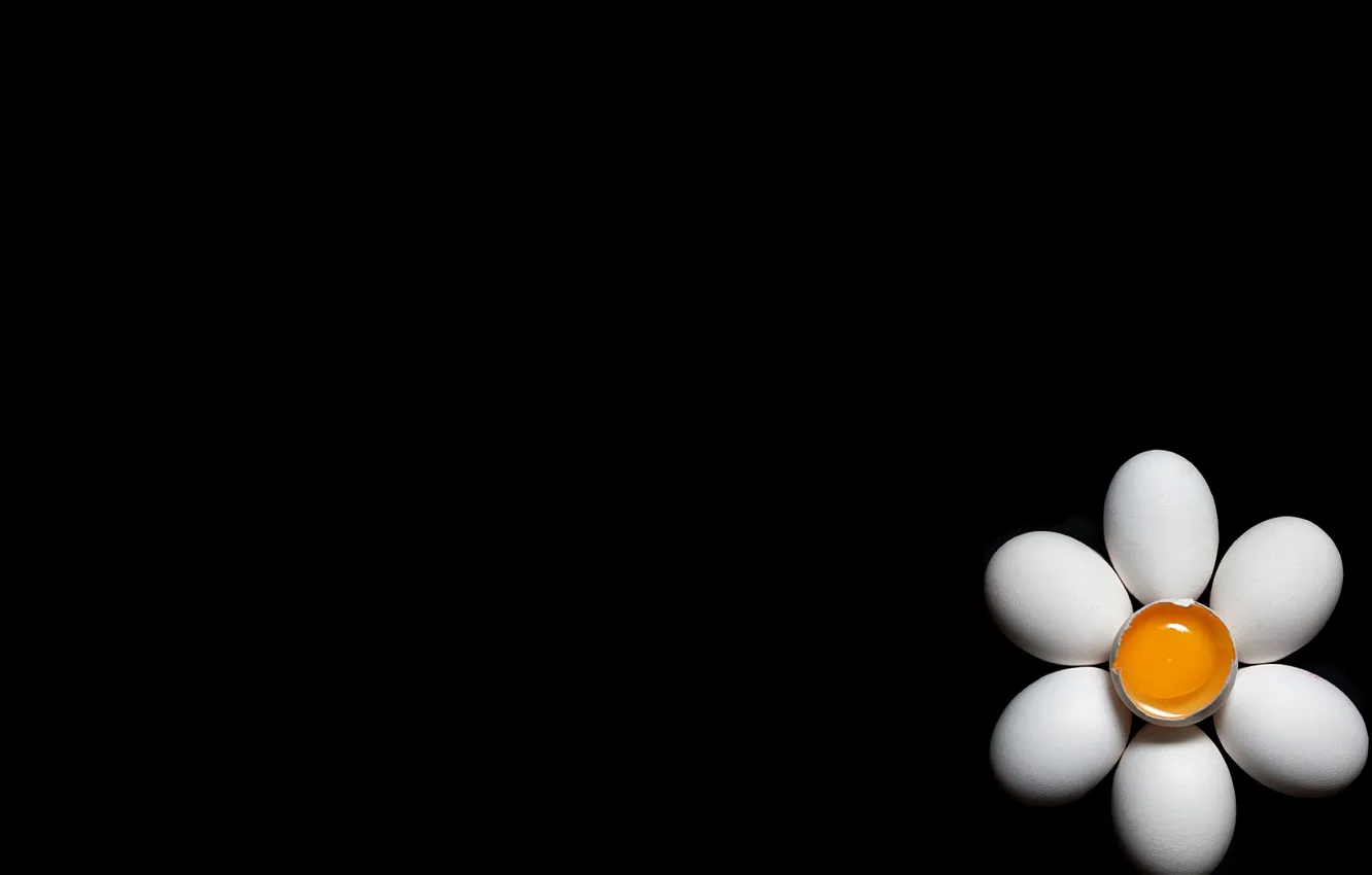 Photo wallpaper flowers, chamomile, eggs, shell, the yolk