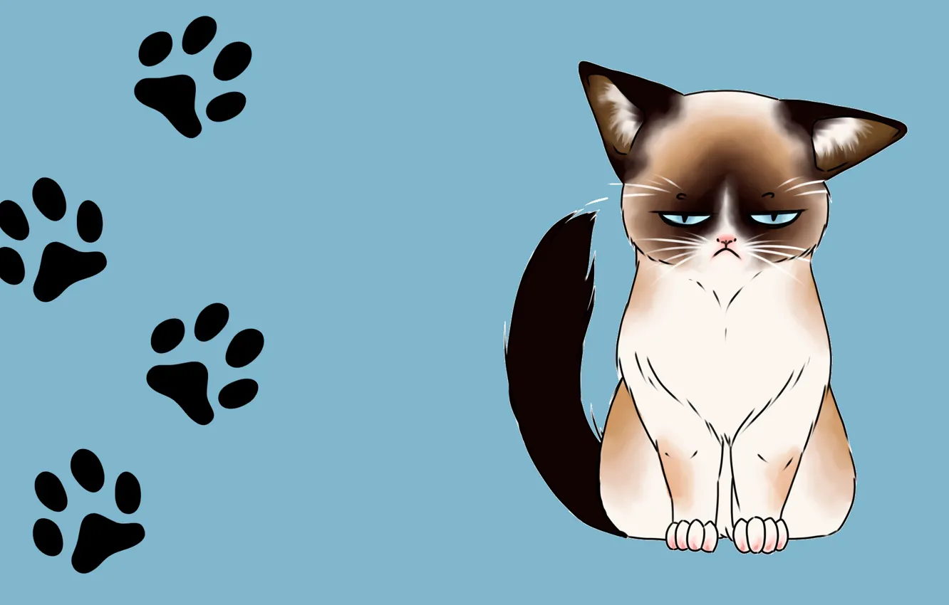 Photo wallpaper cat, traces, mood, art, children's