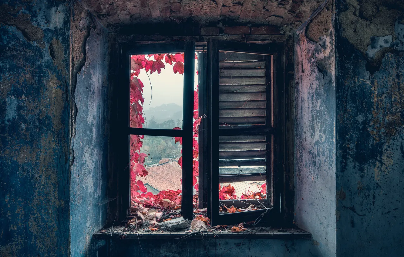 Photo wallpaper house, room, window