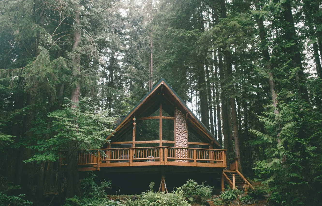 Photo wallpaper forest, nature, building