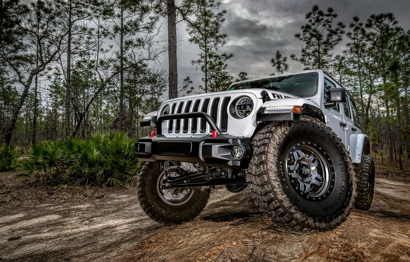 Photo wallpaper forest, SUV, Jeep Wrangler