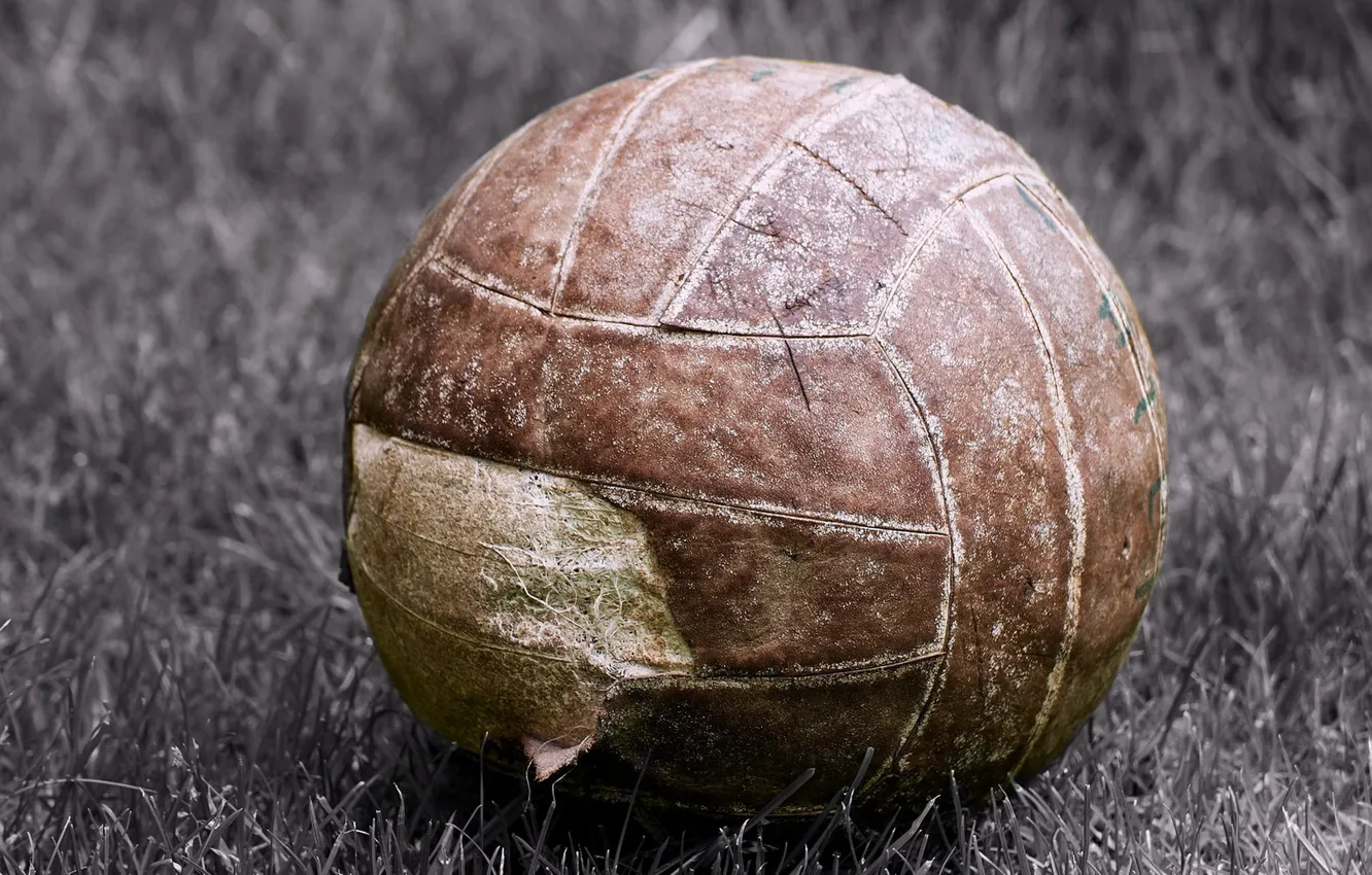 Photo wallpaper macro, sport, the ball