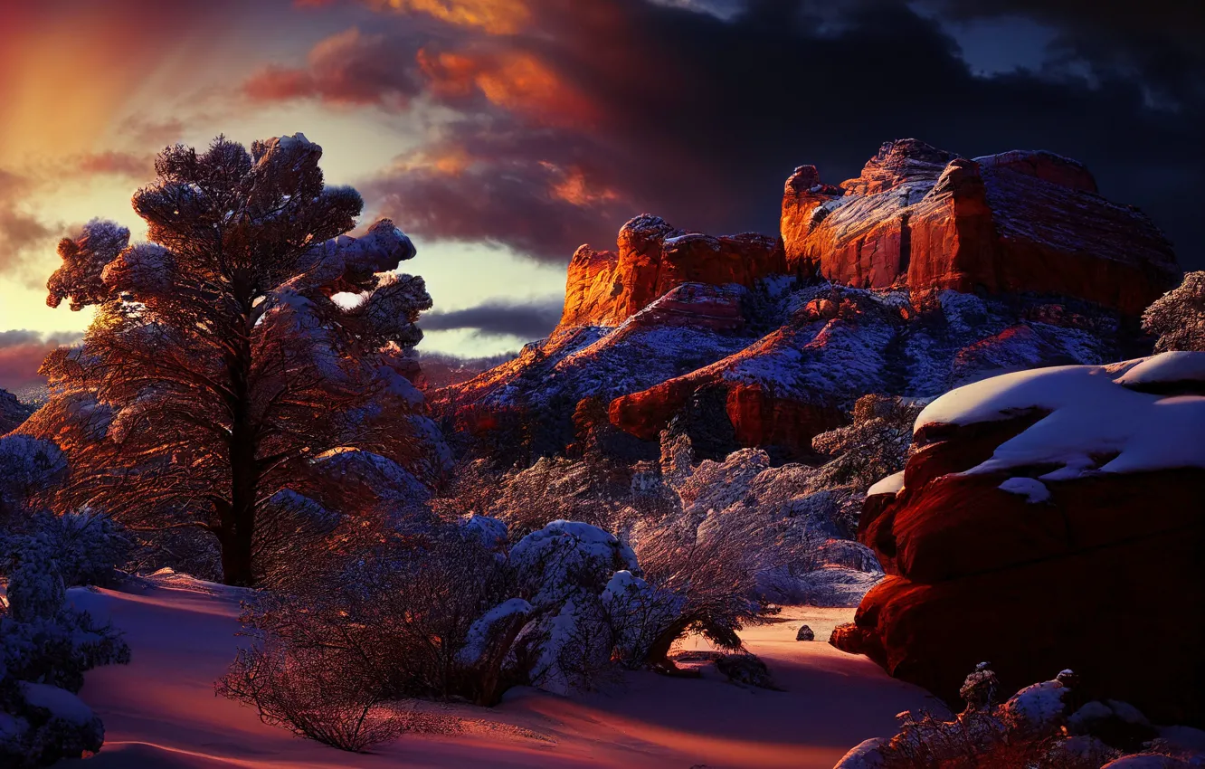 Photo wallpaper winter, the sky, light, snow, trees, landscape, sunset, mountains