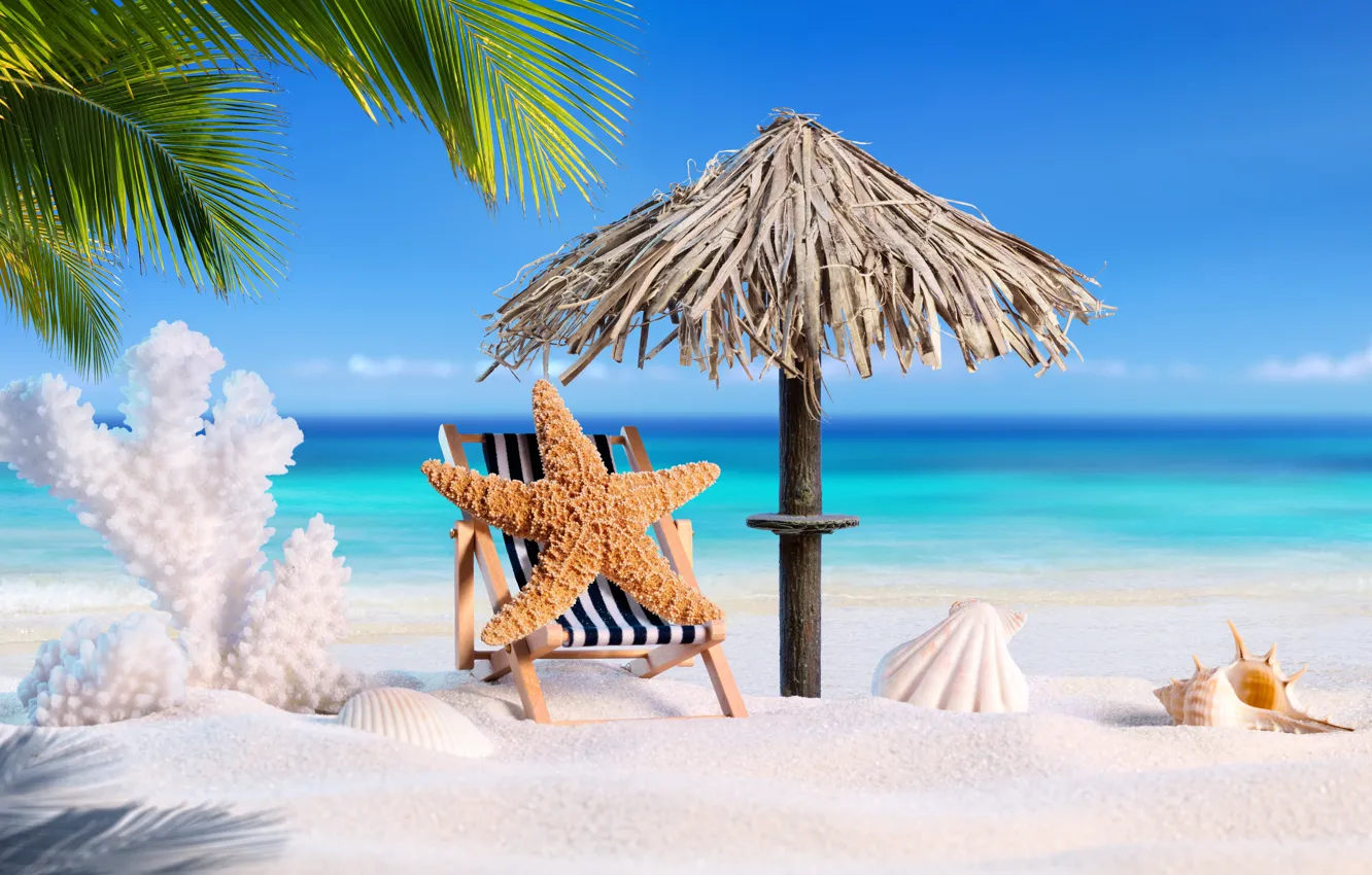 Photo wallpaper sand, sea, beach, summer, star, vacation, shell, summer