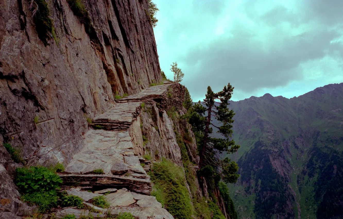 Photo wallpaper the sky, grass, clouds, trees, landscape, mountains, nature, open