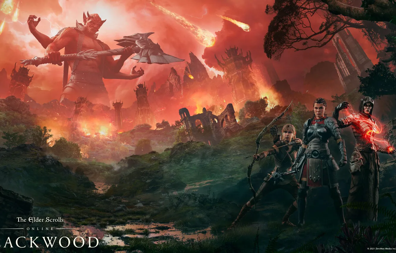 Photo wallpaper elf, The Elder Scrolls Online, tes online, THE ELDER SCROLLS ONLINE:BLACKWOOD - FIRE AND FURY, …