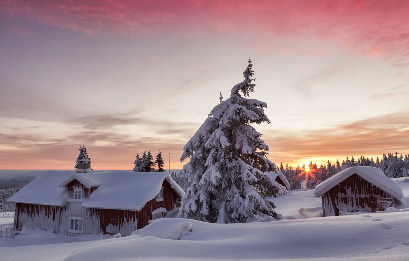 Photo wallpaper winter, snow, home, morning