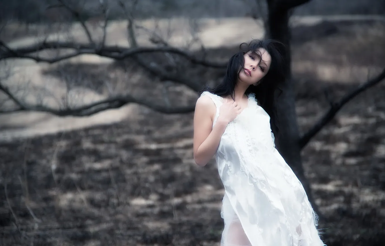 Photo wallpaper Asian, model, Kt.Tomomi