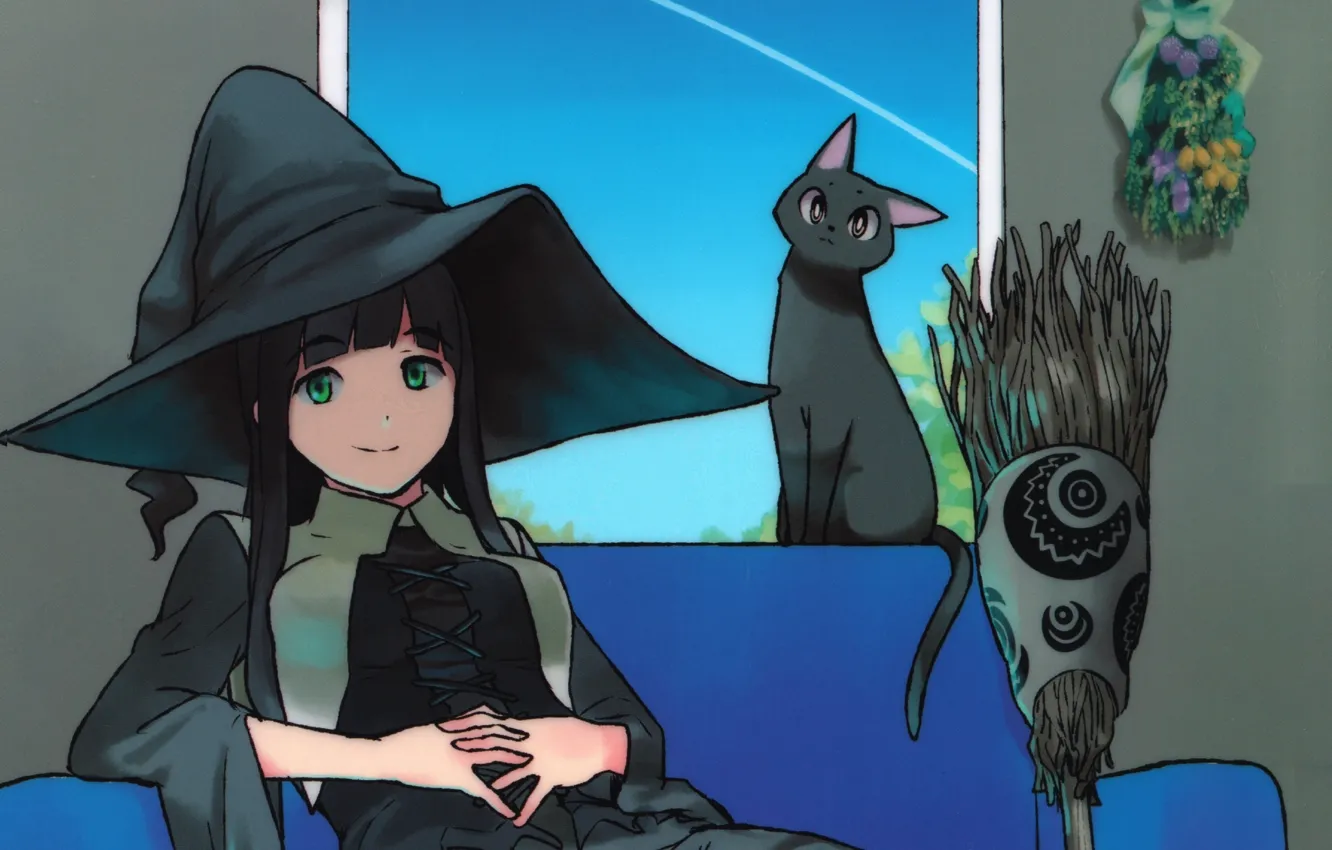 Photo wallpaper characters, broom, black cat, green eyes, dry flowers, Flying Witch, witch hat, by Tomoe Rokuwata