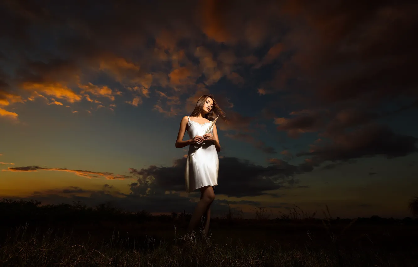 Wallpaper field, girl, night for mobile and desktop, section девушки ...