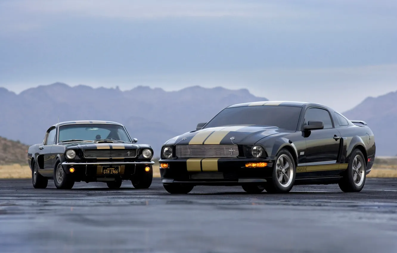 Photo wallpaper road, machine, widescreen, ford, shelby, Ford, Shelby, gt-h cars