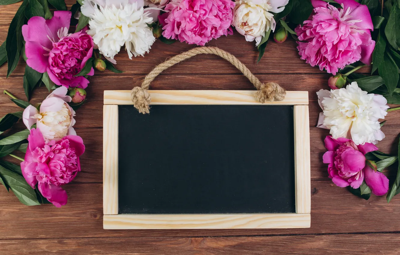 Photo wallpaper flowers, frame, pink, white, white, wood, pink, flowers