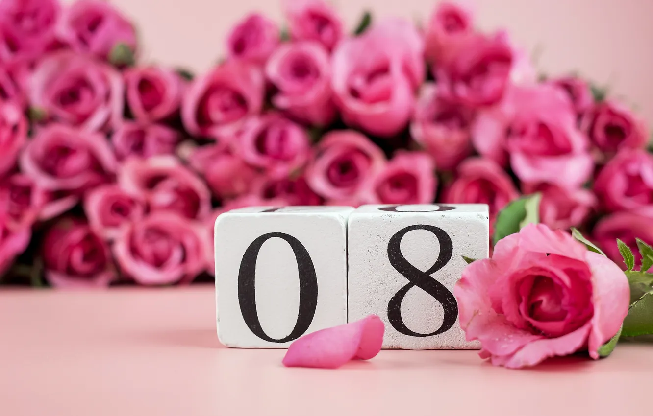 Photo wallpaper flowers, roses, figures, March 8, pink, flowers, spring, roses