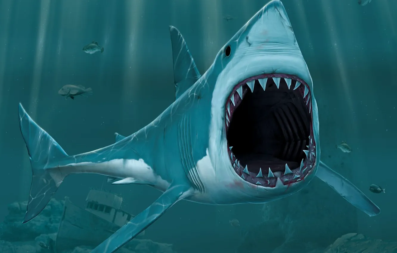 Photo wallpaper figure, mouth, Shark