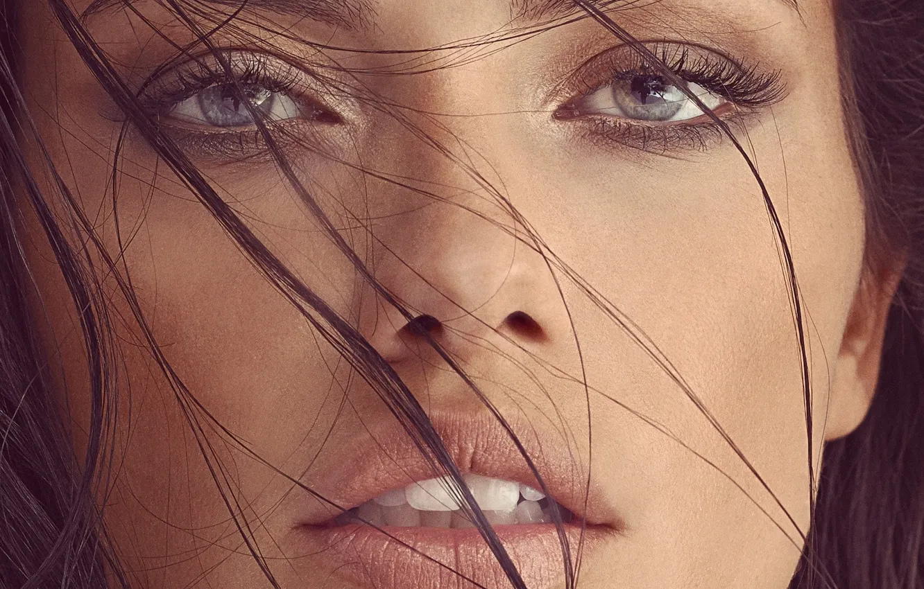 Photo wallpaper girl, face, model, portrait, Adriana Lima, Adriana Lima