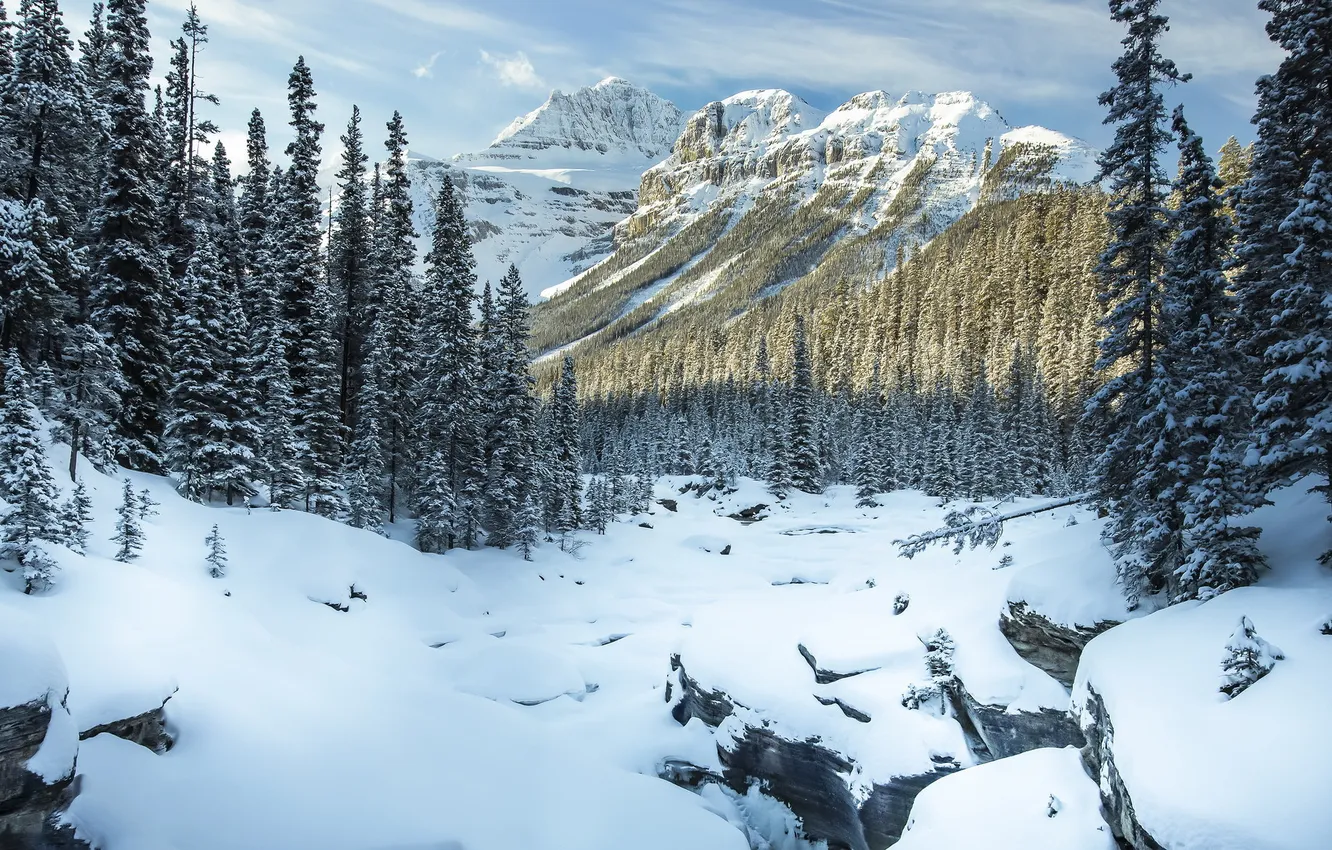 Photo wallpaper winter, landscape, mountains