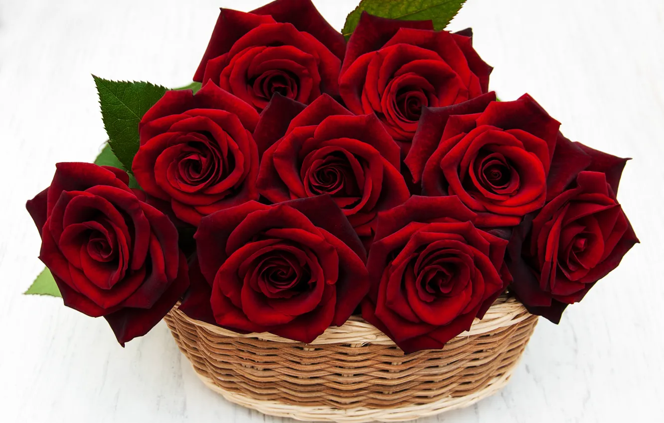 Photo wallpaper roses, red, basket, Olena Rudo