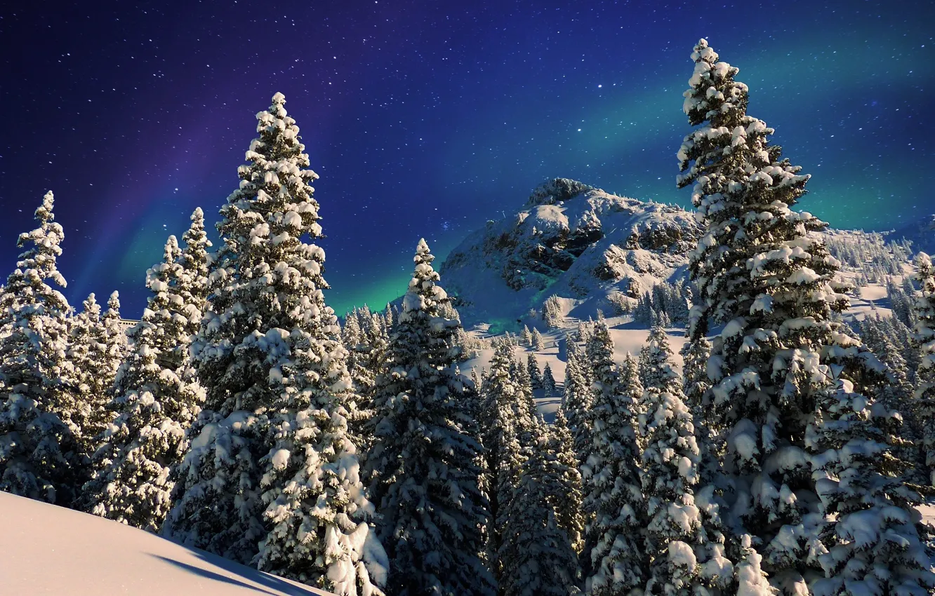 Photo wallpaper winter, the sky, stars, snow, trees, landscape, mountains, nature