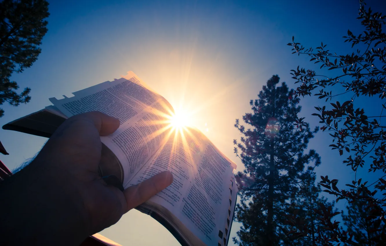 Photo wallpaper sunshine, trees, Christian, sunlight, God, Lord, Bible, Jesus