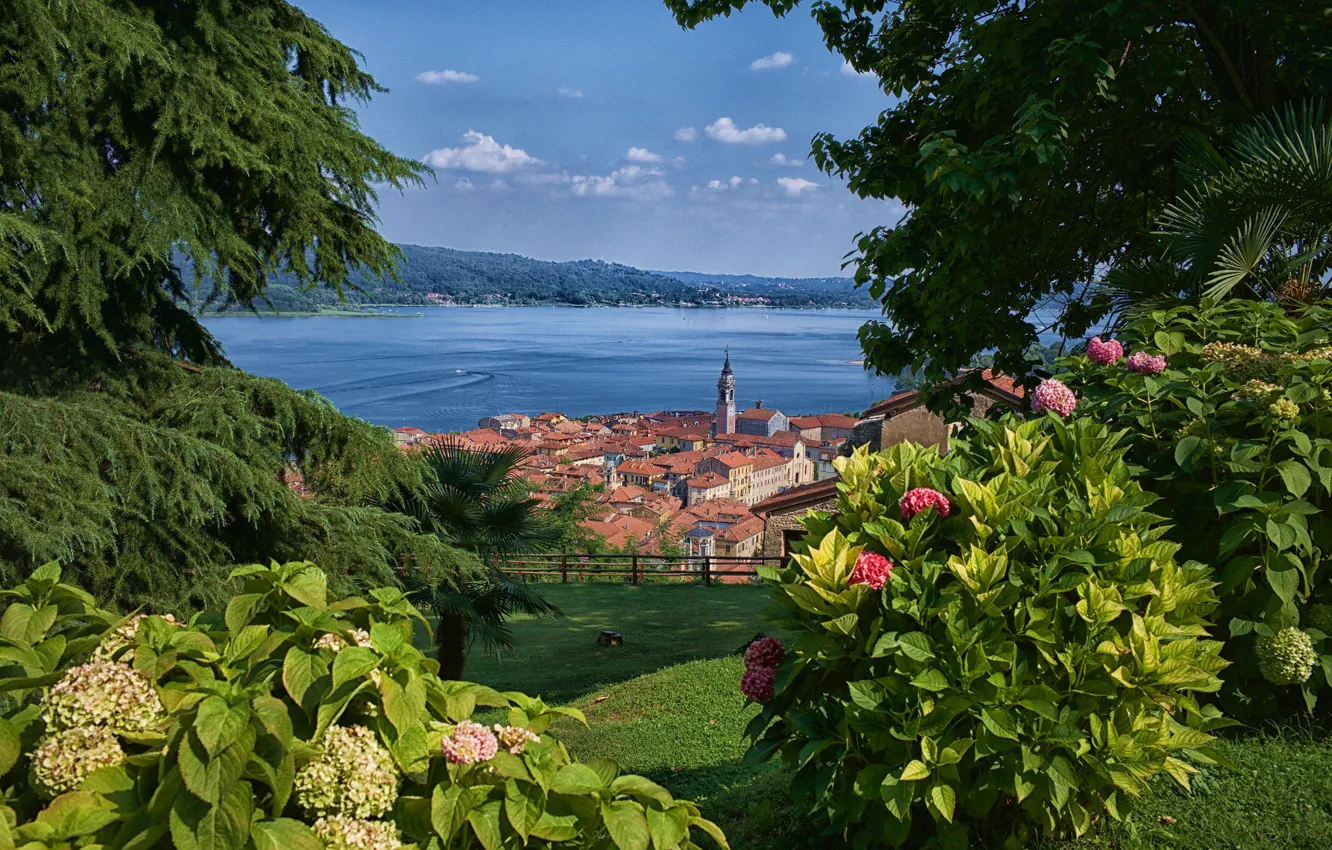 Photo wallpaper flowers, lake, Italy, panorama, the bushes, Italy, hydrangea, Maggiore