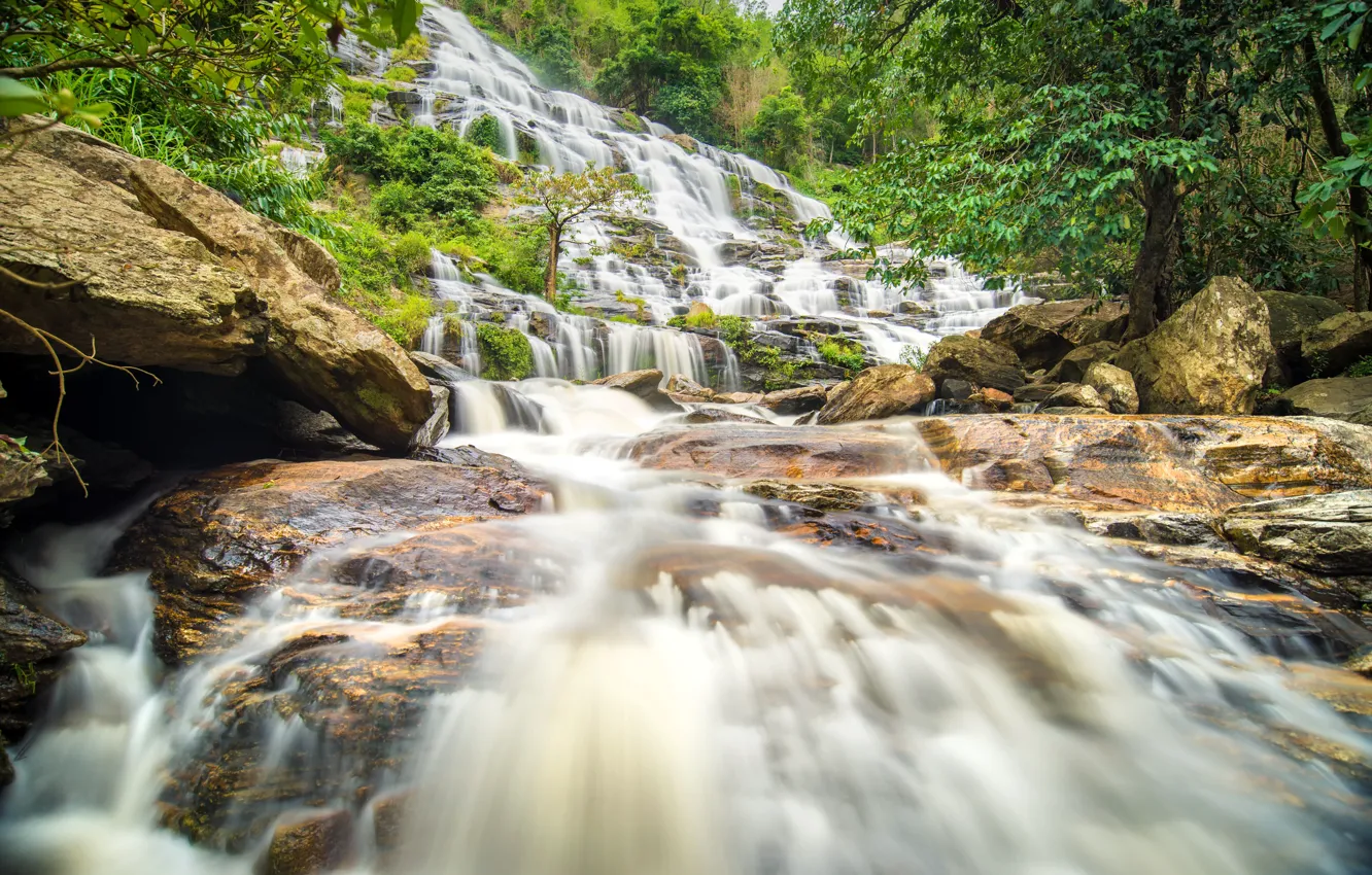 Photo wallpaper forest, river, waterfall, forest, cascade, river, landscape, jungle