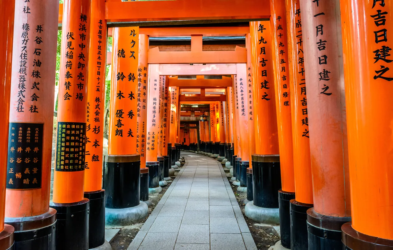 Photo wallpaper Road, Japan, Temple, Kyoto, Characters, Torii, Fushimi Inari Shrine