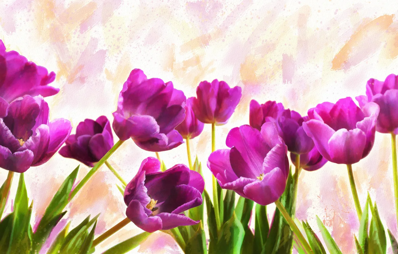 Photo wallpaper flowers, background, figure, graphics, treatment, light, picture, art