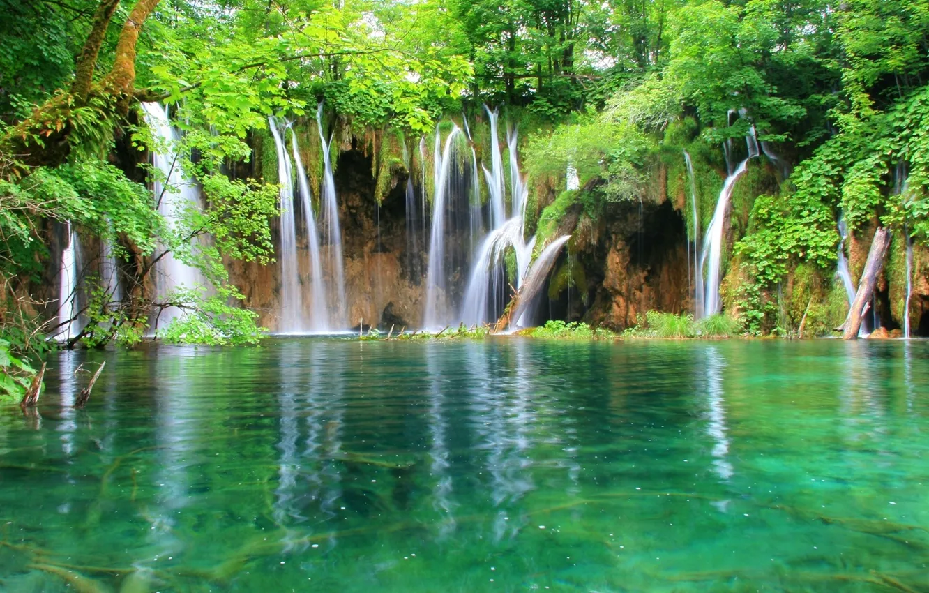 Photo wallpaper forest, water, waterfall