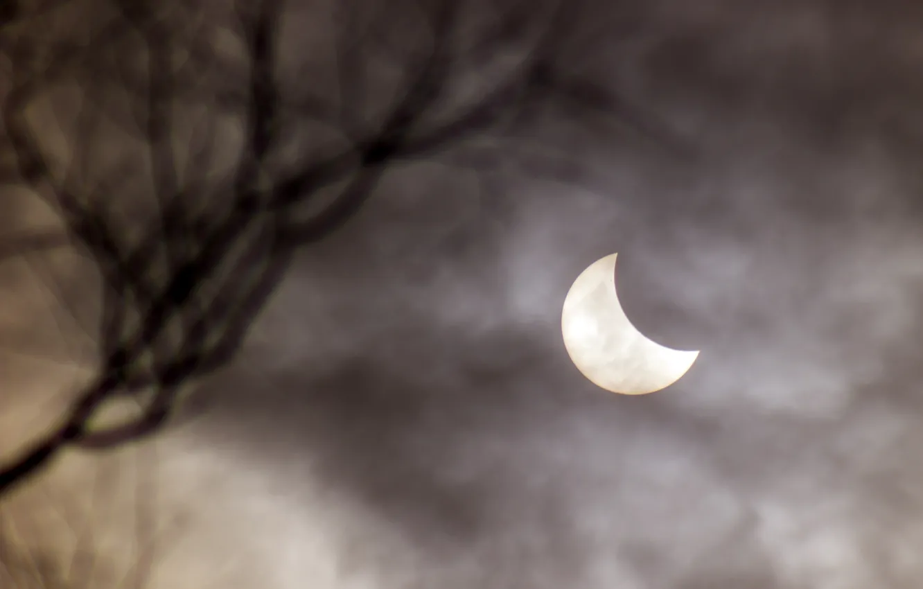 Photo wallpaper the sun, clouds, rays, nature, background, Wallpaper, the moon, Eclipse