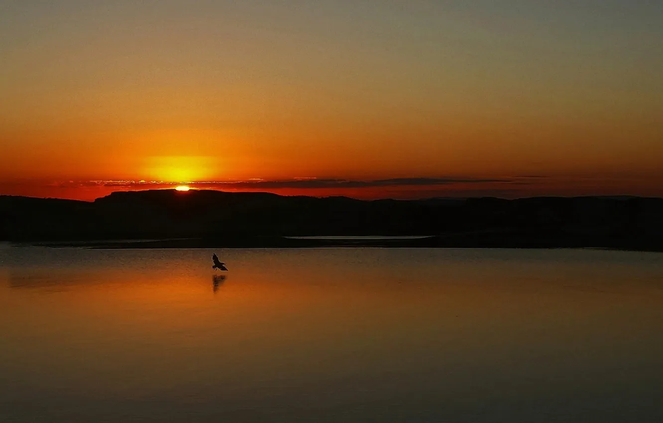 Photo wallpaper sunset, birds, lake, reflection, mirror, orange sky