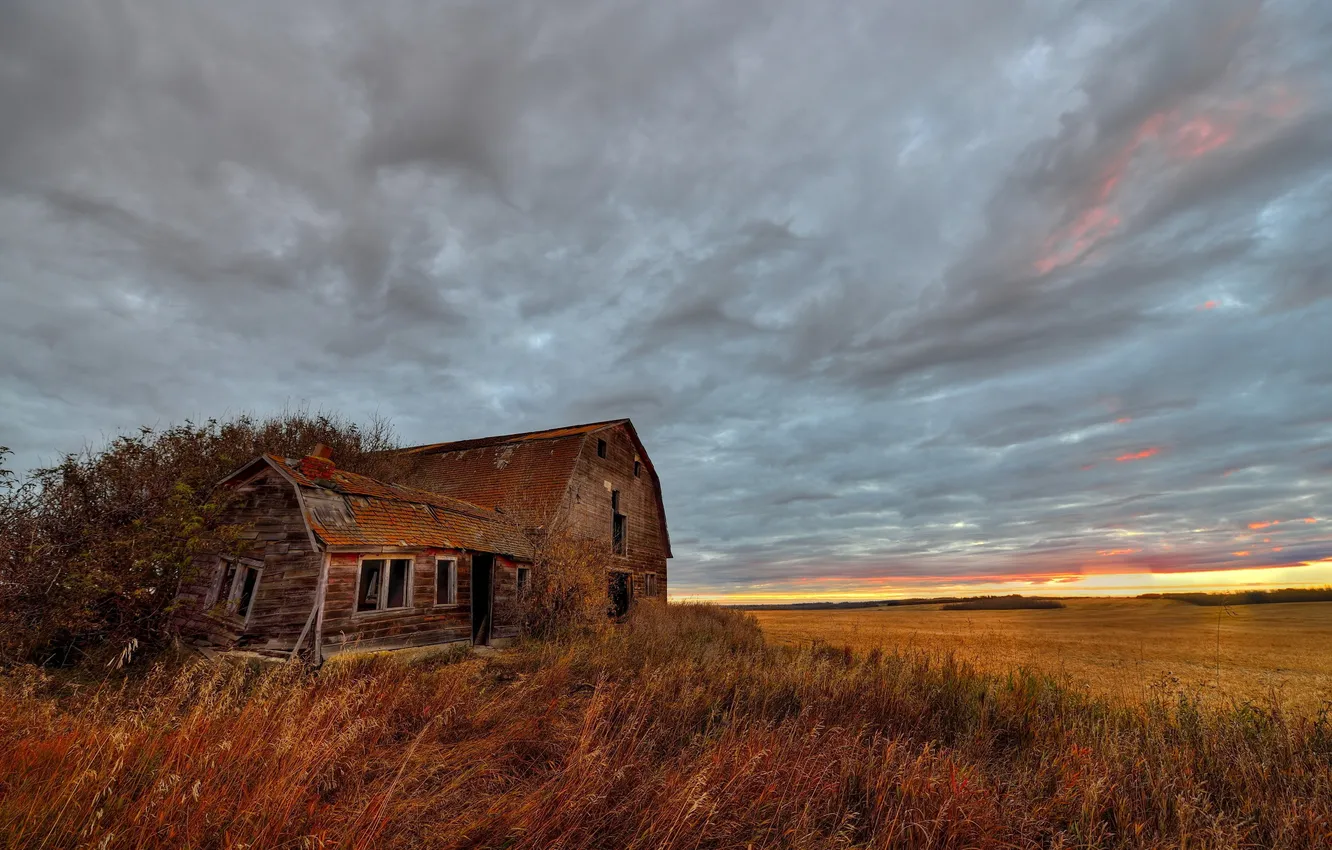 Photo wallpaper field, landscape, home