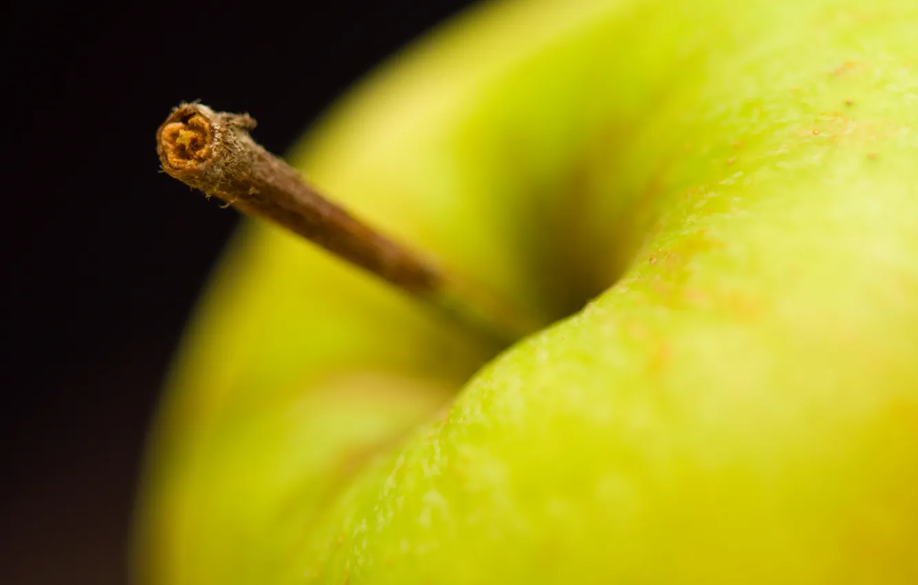 Photo wallpaper macro, apples, focus, bokeh