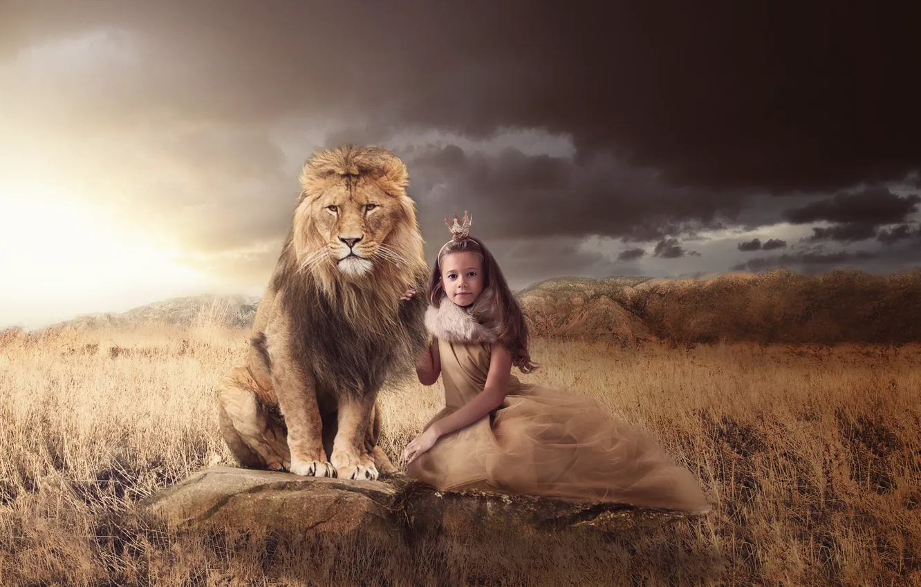 Photo wallpaper grass, nature, stones, animal, predator, Leo, crown, girl