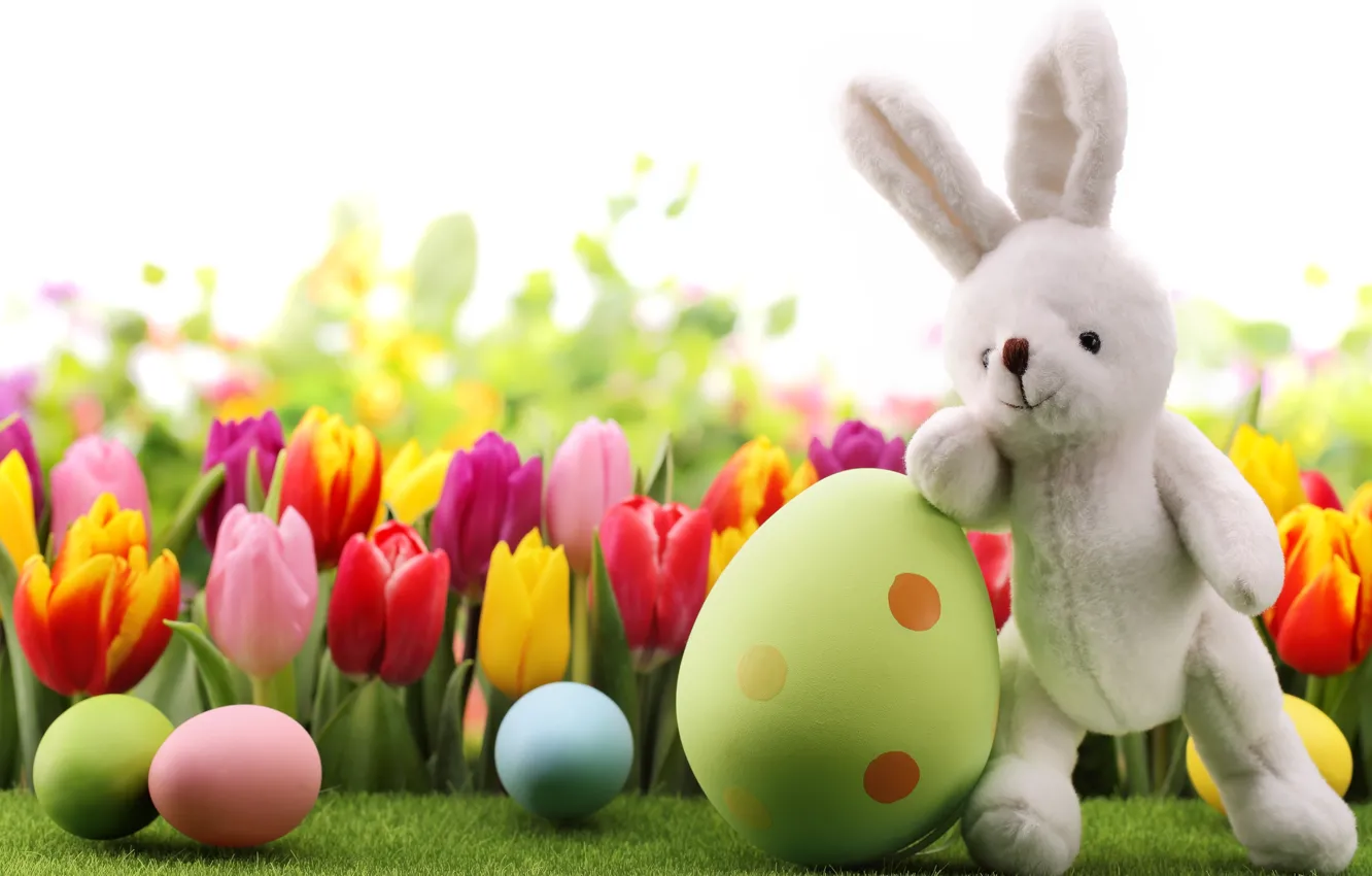 Photo wallpaper flowers, eggs, spring, rabbit, Easter, tulips, flowers, tulips