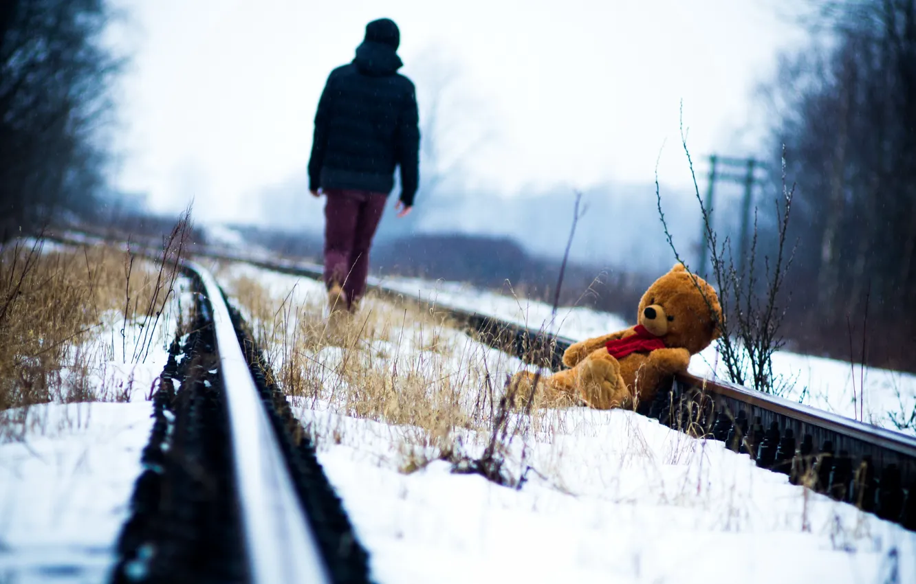 Photo wallpaper rails, bear, railroad